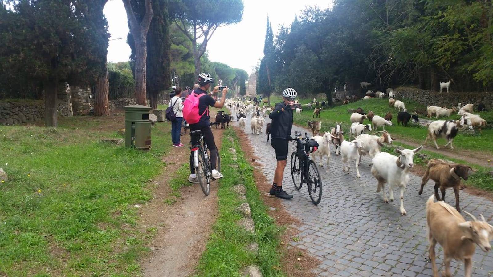 Roma ciclabile Tevere Appia11