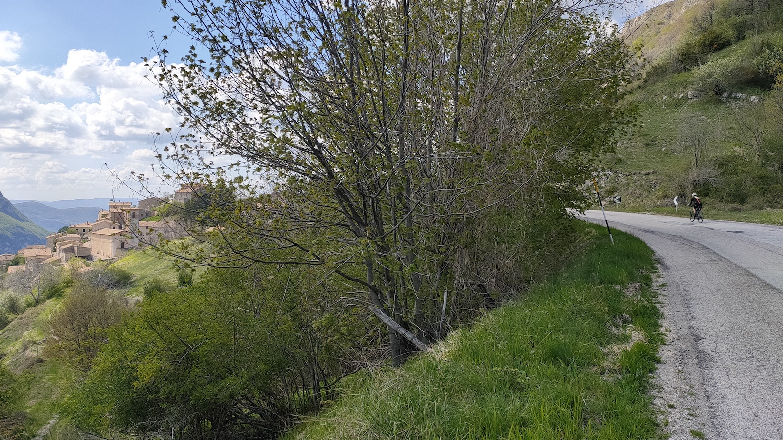 IMG20210509154632
